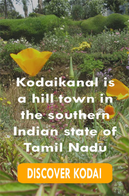 Discover Kodaikanal